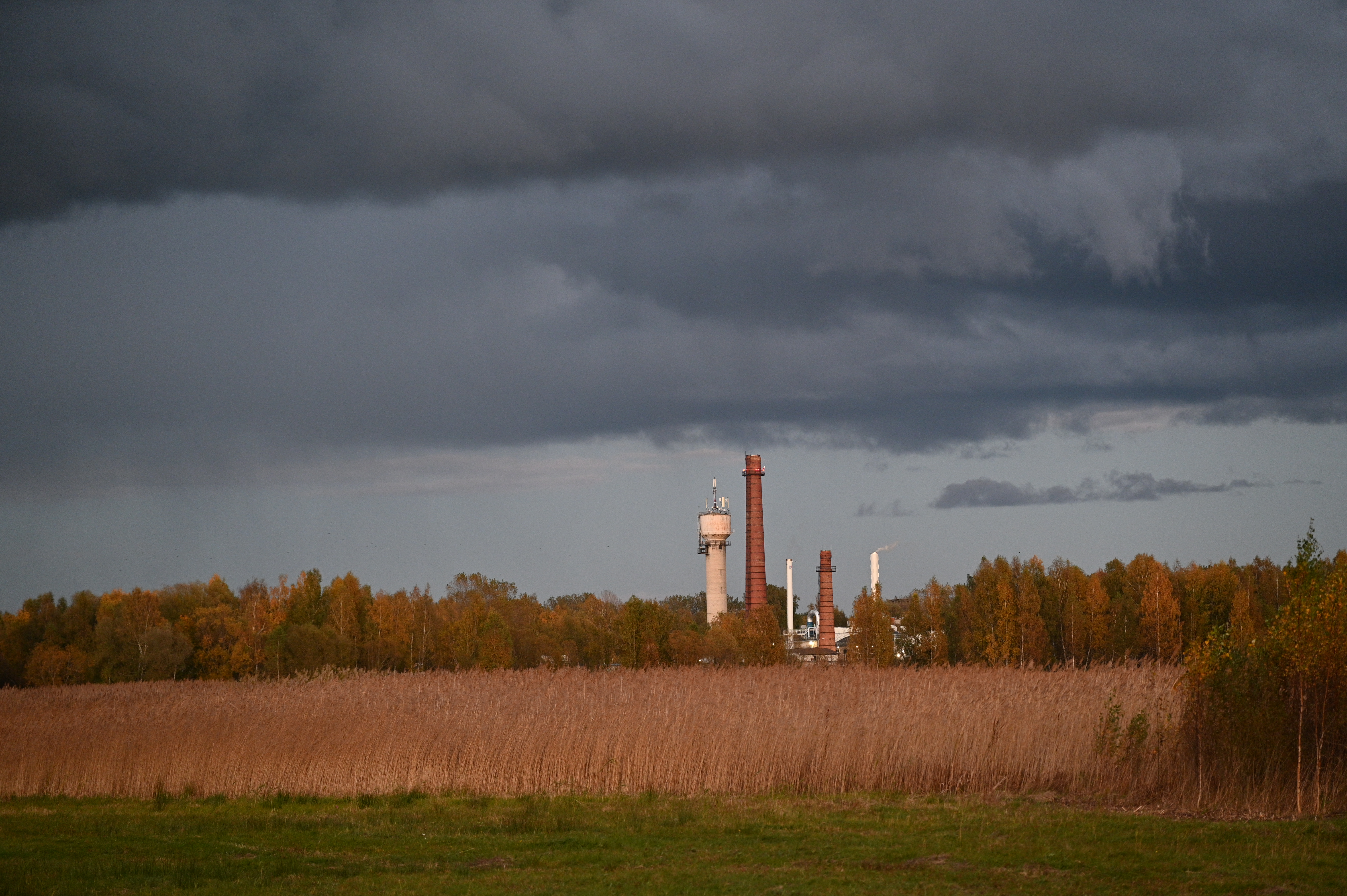 2025/10/18 - walk/DSC_0585.JPG